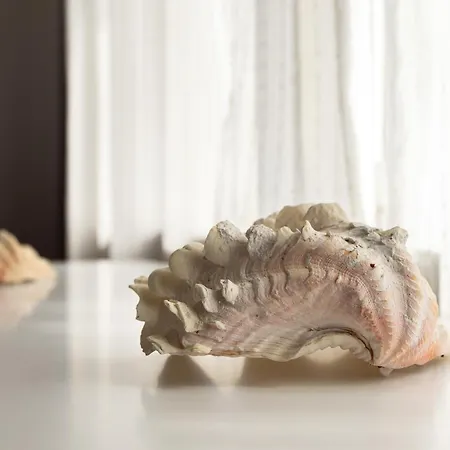 דירה Large Two Bedroom Family App - Free Parking *