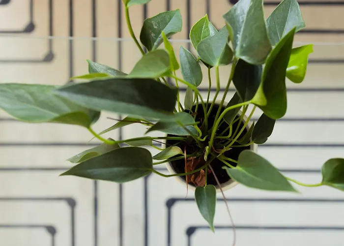 Large Two Bedroom Family App - Free Parking Λιουμπλιάνα